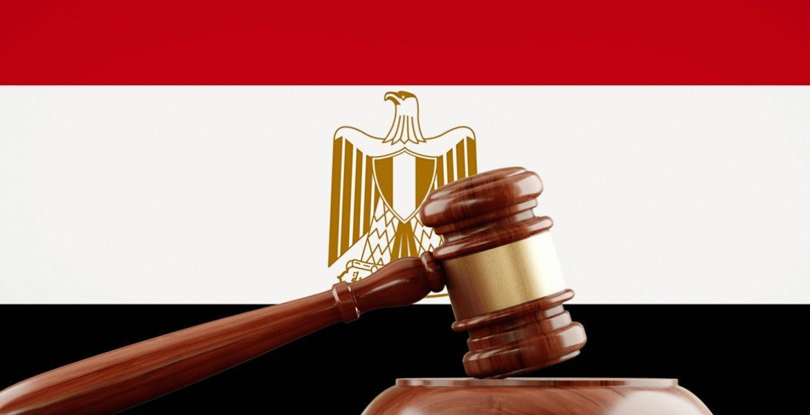 بيان حول الصياغة المقترحة للمادة 105 من مشروع قانون الإجراءات الجنائية في مصر