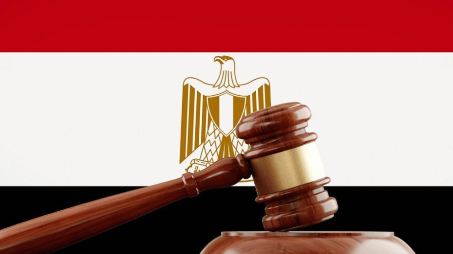 بيان حول الصياغة المقترحة للمادة 105 من مشروع قانون الإجراءات الجنائية في مصر