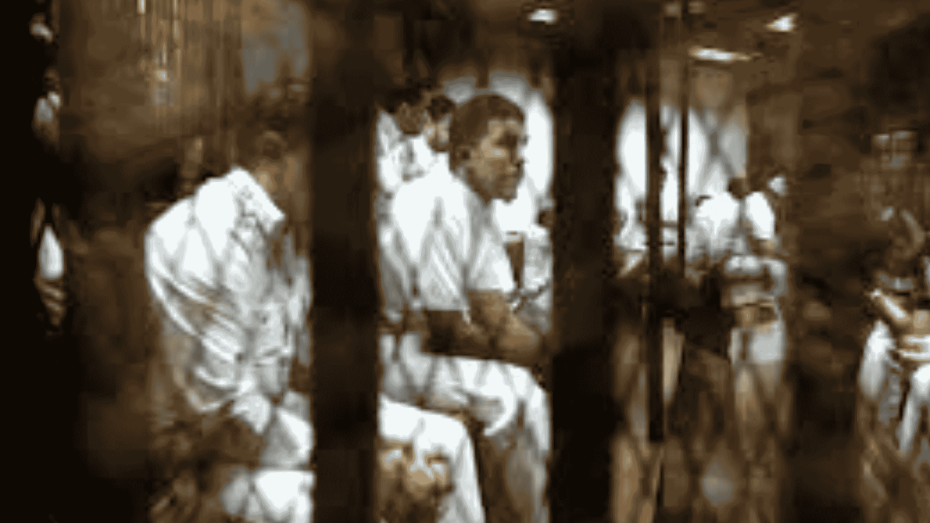 متهمون داخل قفص المحكمة في إحدى الجلسات بمصر يرتدون الزي الأبيض ويظهرون خلف الحواجز الحديدية.